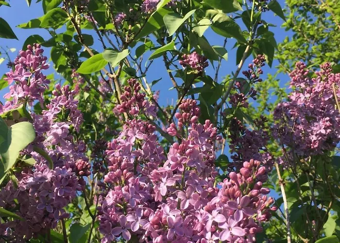 Сasa de vacaciones Loewenzahn By Interhome *