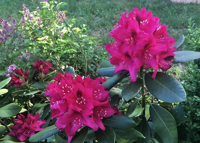 Сasa de vacaciones Loewenzahn By Interhome *